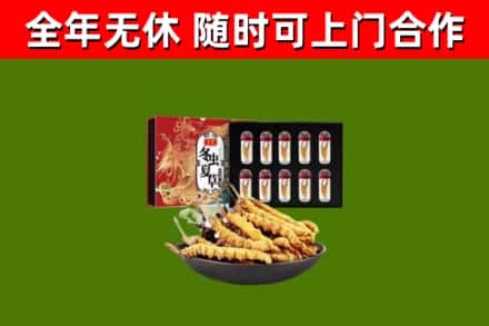 连云港市回收冬虫夏草价格